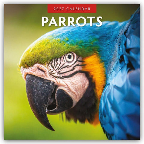 Parrots – Papageien 2027 – 16-Monatskalender