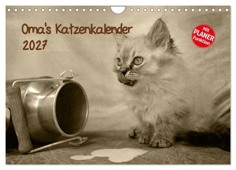 Oma's Katzenkalender 2027 (Wandkalender 2027 DIN A4 quer), CALVENDO Monatskalender