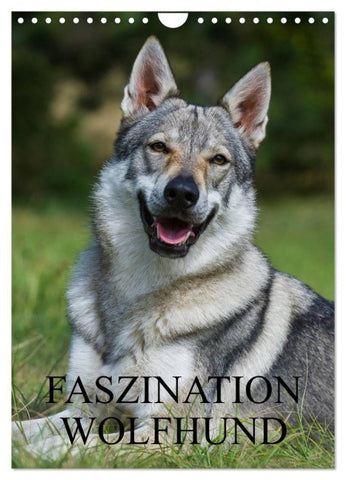 Faszination Wolfhund (Wandkalender 2027 DIN A4 hoch), CALVENDO Monatskalender