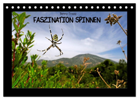 Faszination Spinnen (Tischkalender 2027 DIN A5 quer), CALVENDO Monatskalender