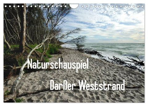 Naturschauspiel Darßer Weststrand (Wandkalender 2027 DIN A4 quer), CALVENDO Monatskalender
