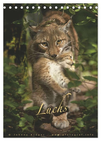 Luchs (Tischkalender 2026 DIN A5 hoch), CALVENDO Monatskalender