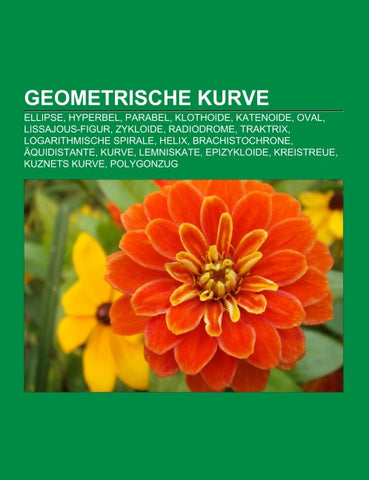 Geometrische Kurve