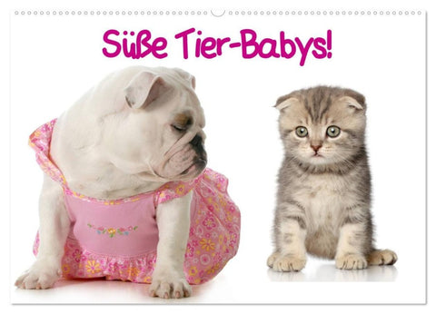 Süße Tier-Babys! (Wandkalender 2027 DIN A2 quer), CALVENDO Monatskalender
