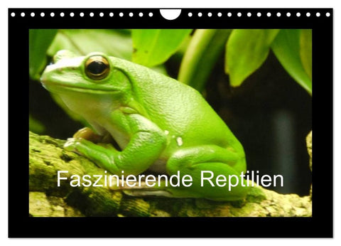 Faszinierende Reptilien (Wandkalender 2026 DIN A4 quer), CALVENDO Monatskalender