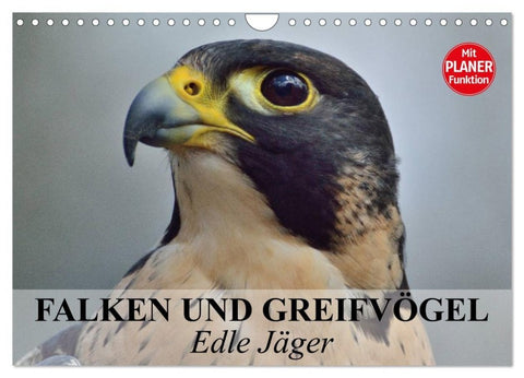 Falken und Greifvögel - Edle Jäger (Wandkalender 2027 DIN A4 quer), CALVENDO Monatskalender