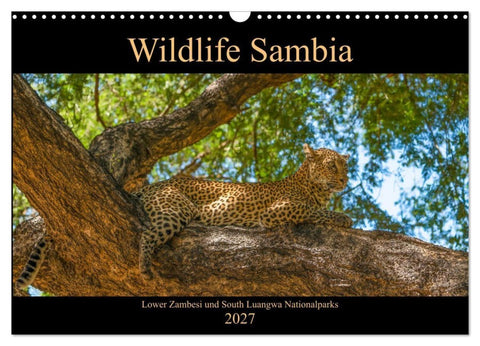 Wildlife Sambia (Wandkalender 2027 DIN A3 quer), CALVENDO Monatskalender