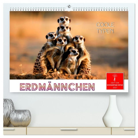Erdmännchen - coole Typen (hochwertiger Premium Wandkalender 2027 DIN A2 quer), Kunstdruck in Hochglanz