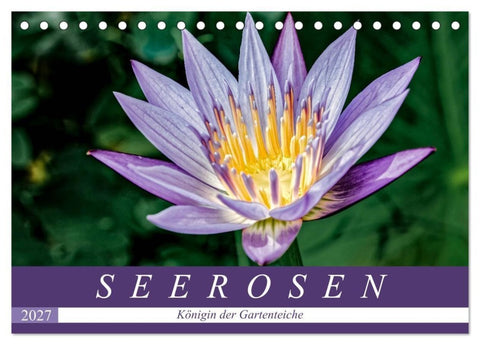 Seerosen - Königin der Gartenteiche (Tischkalender 2027 DIN A5 quer), CALVENDO Monatskalender