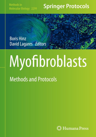 Myofibroblasts