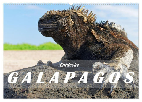 Entdecke Galapagos (Wandkalender 2027 DIN A2 quer), CALVENDO Monatskalender