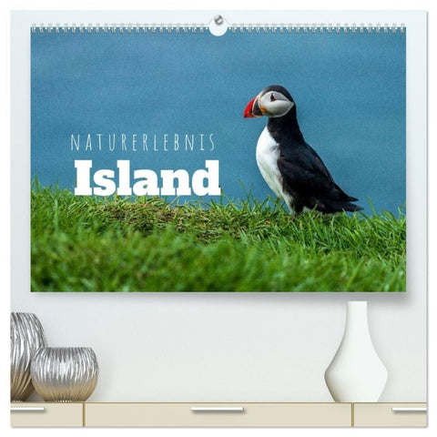 Naturerlebnis Island (hochwertiger Premium Wandkalender 2027 DIN A2 quer), Kunstdruck in Hochglanz