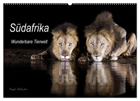 Südafrika wunderbare Tierwelt (Wandkalender 2027 DIN A2 quer), CALVENDO Monatskalender