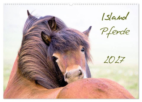 Islandpferde (Wandkalender 2027 DIN A2 quer), CALVENDO Monatskalender