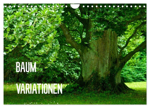 Baum-Variationen (Wandkalender 2027 DIN A4 quer), CALVENDO Monatskalender
