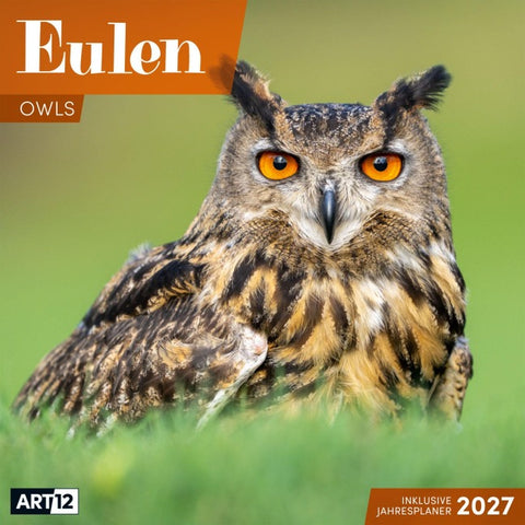 Eulen Kalender 2027 - 30x30 - Art12
