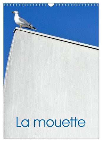 La mouette (Calendrier mural 2027 DIN A3 horizontal), CALVENDO calendrier mensuel