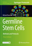 Germline Stem Cells