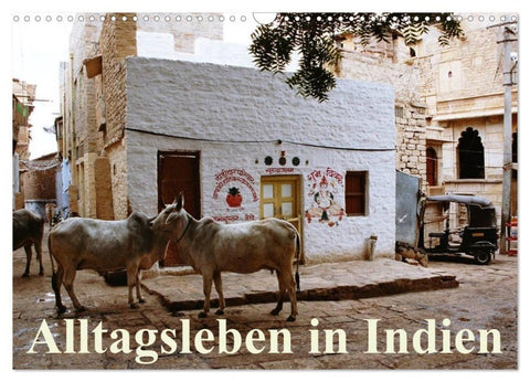 Alltagsleben in Indien (Wandkalender 2027 DIN A3 quer), CALVENDO Monatskalender
