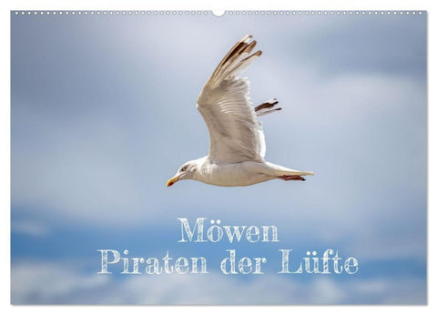 Möwen Piraten der Lüfte (Wandkalender 2026 DIN A2 quer), CALVENDO Monatskalender