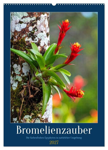 Bromelienzauber (Wandkalender 2027 DIN A2 hoch), CALVENDO Monatskalender