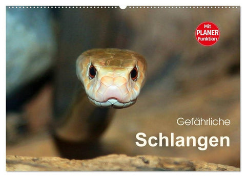Gefährliche Schlangen (Wandkalender 2027 DIN A2 quer), CALVENDO Monatskalender