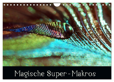 Magische Super-Makros (Wandkalender 2026 DIN A4 quer), CALVENDO Monatskalender