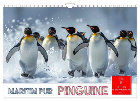 Maritim pur - Pinguine (Wandkalender 2027 DIN A4 quer), CALVENDO Monatskalender
