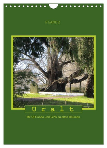 Uralt - Mit QR-Code und GPS zu alten Bäumen (Wandkalender 2027 DIN A4 hoch), CALVENDO Monatskalender