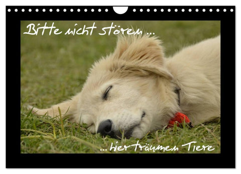 Bitte nicht stören... hier träumen Tiere (Wandkalender 2026 DIN A4 quer), CALVENDO Monatskalender