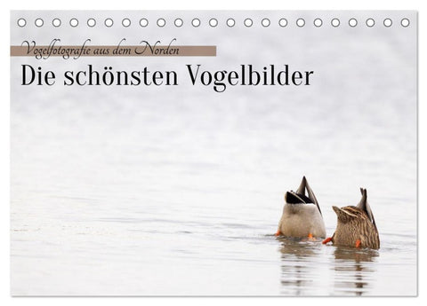 Vogelfotografie aus dem Norden (Tischkalender 2027 DIN A5 quer), CALVENDO Monatskalender