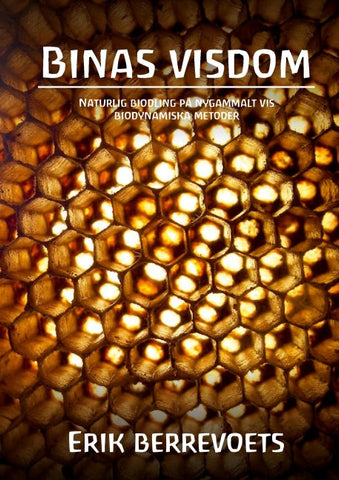 Binas Visdom