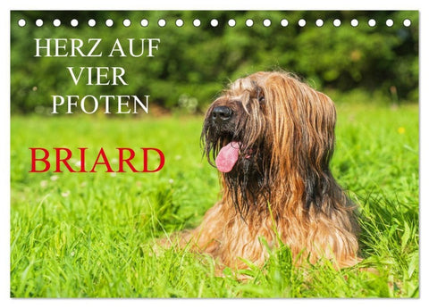 Herz auf vier Pfoten - Briard (Tischkalender 2027 DIN A5 quer), CALVENDO Monatskalender