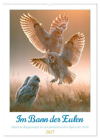 Im Bann der Eulen (Wandkalender 2027 DIN A2 hoch), CALVENDO Monatskalender