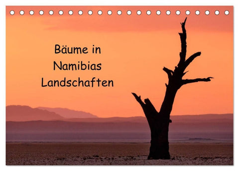 Bäume in Namibias Landschaften (Tischkalender 2027 DIN A5 quer), CALVENDO Monatskalender