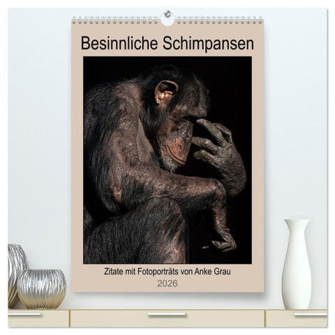 Besinnliche Schimpansen (hochwertiger Premium Wandkalender 2026 DIN A2 hoch), Kunstdruck in Hochglanz