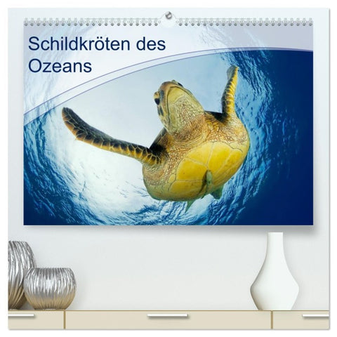 Schildkröten des Ozeans (hochwertiger Premium Wandkalender 2026 DIN A2 quer), Kunstdruck in Hochglanz