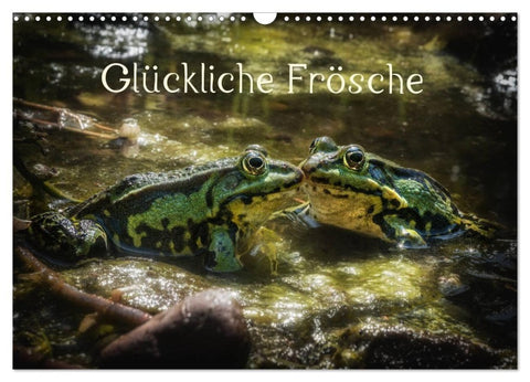 Glückliche Frösche (Wandkalender 2027 DIN A3 quer), CALVENDO Monatskalender