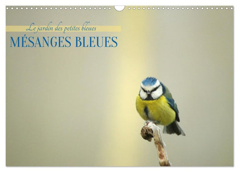 Mésanges bleues (Calendrier mural 2027 DIN A3 vertical), CALVENDO calendrier mensuel
