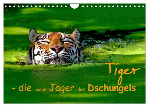 Tiger - die leisen Jäger des Dschungels (Wandkalender 2026 DIN A4 quer), CALVENDO Monatskalender