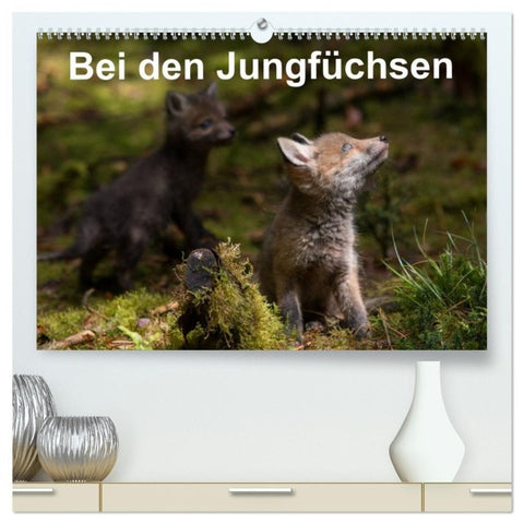 Bei den Jungfüchsen (hochwertiger Premium Wandkalender 2027 DIN A2 quer), Kunstdruck in Hochglanz