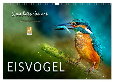 Wunderschöner Eisvogel (Wandkalender 2026 DIN A3 quer), CALVENDO Monatskalender