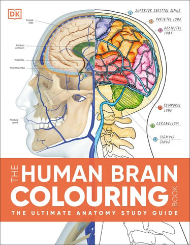 The Human Brain Colouring Book
