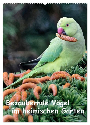 Bezaubernde Vögel im heimischen Garten (Wandkalender 2027 DIN A2 hoch), CALVENDO Monatskalender