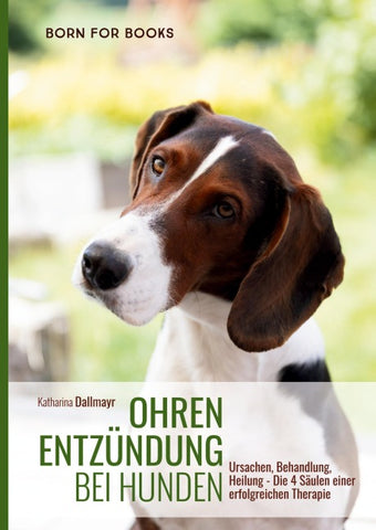 Ohrenentzündung bei Hunden