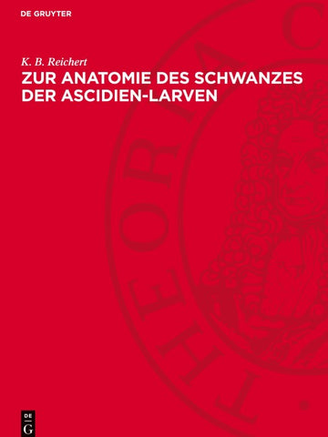 Zur Anatomie des Schwanzes der Ascidien-Larven