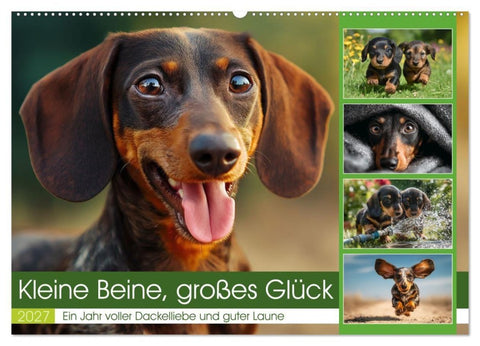 Kleine Beine, großes Glück (Wandkalender 2027 DIN A2 quer), CALVENDO Monatskalender