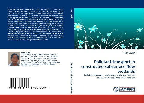 Pollutant transport in constructed subsurface flow wetlands
