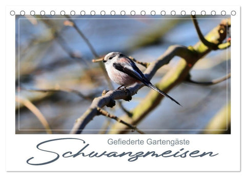 Gefiederte Gartengäste, Schwanzmeisen (Tischkalender 2027 DIN A5 quer), CALVENDO Monatskalender