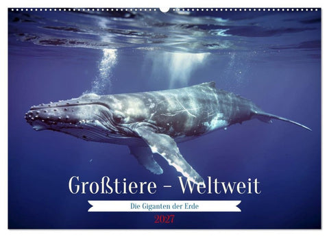 Großtiere - Weltweit (Wandkalender 2027 DIN A2 quer), CALVENDO Monatskalender